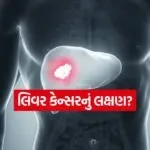 india 2025 12 02T172734.540