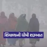 cold wave forecast gujarat 1