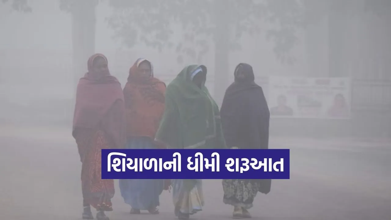 cold wave forecast gujarat 1.jpg