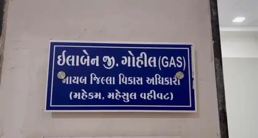 વિશ્વ વિકલાંગતા દિવસે ઈલાબેન ગોહેલની અદમ્ય યાત્રા 2 world disability day ilaben gohel success 1.png