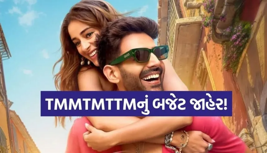 TMMTMTTM Budget