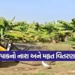 gujarat farmers price crisis 1
