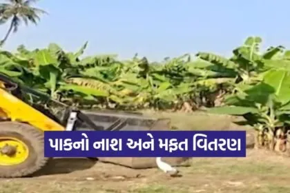 gujarat farmers price crisis 1