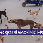Ahmedabad stray dogs control 1