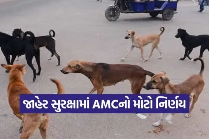 Ahmedabad stray dogs control 1