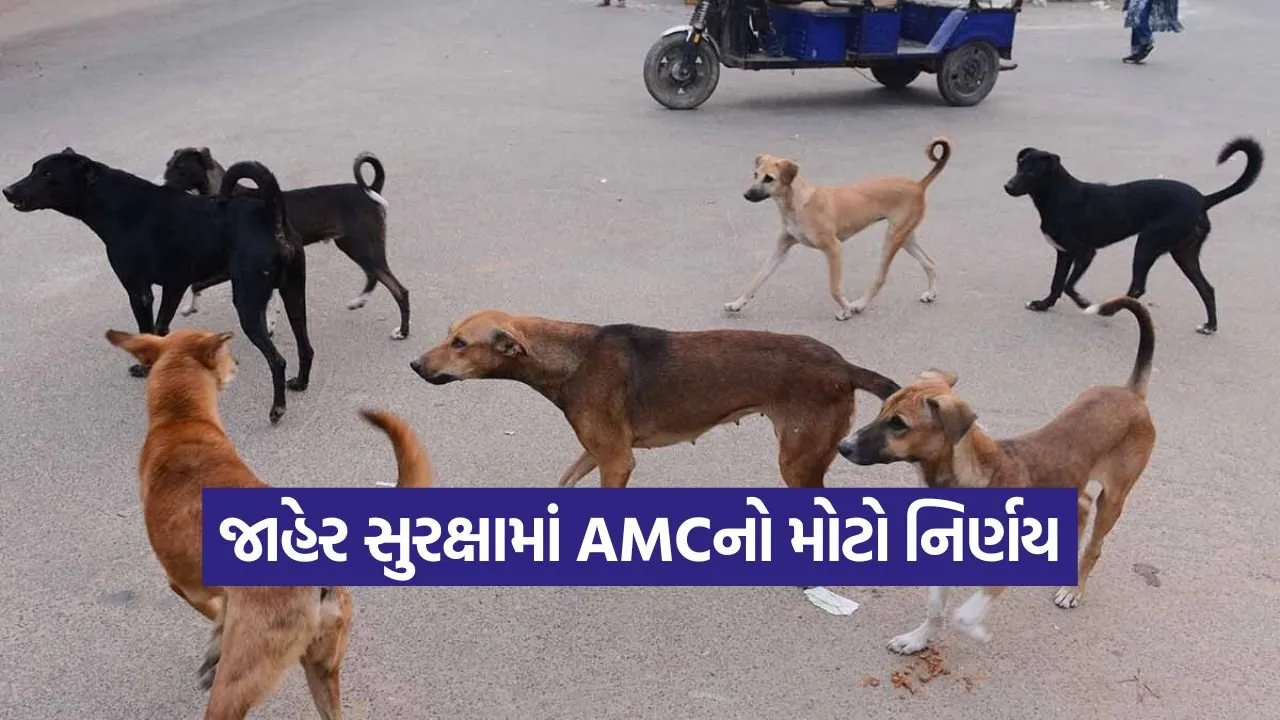 Ahmedabad stray dogs control 1.jpg