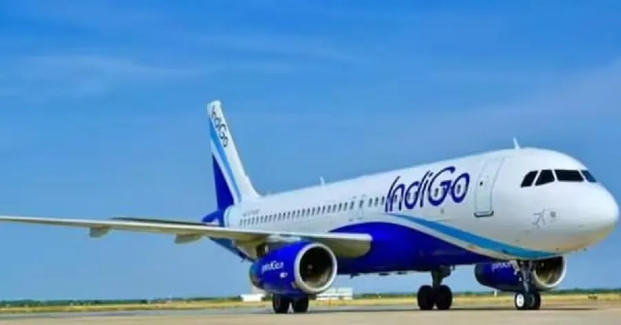 IndiGo એ દુનિયાના સૌથી મોટા એવિએશન લીડરને બનાવ્યા CEO 3 indigo.jpg