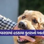 kunvarla dog bite incident 1