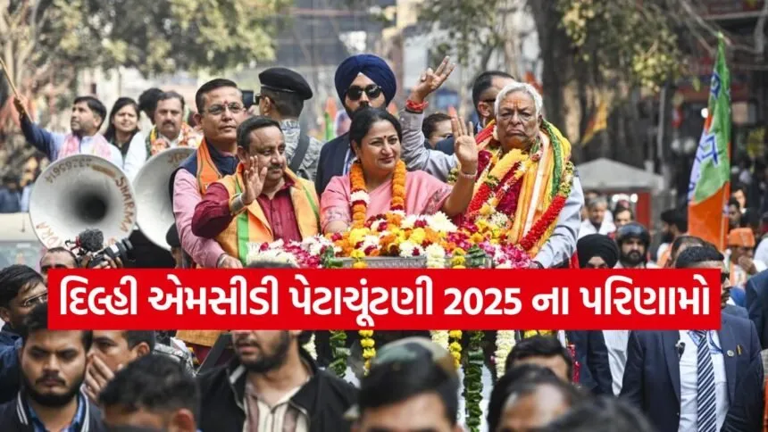 Delhi3