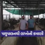 rahulbhai pada dairy success 1