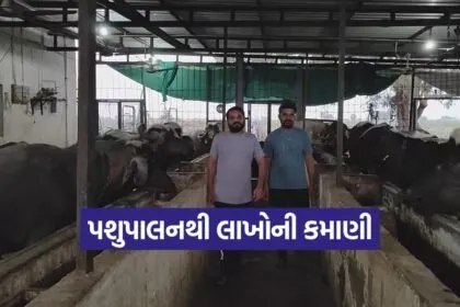 rahulbhai pada dairy success 1
