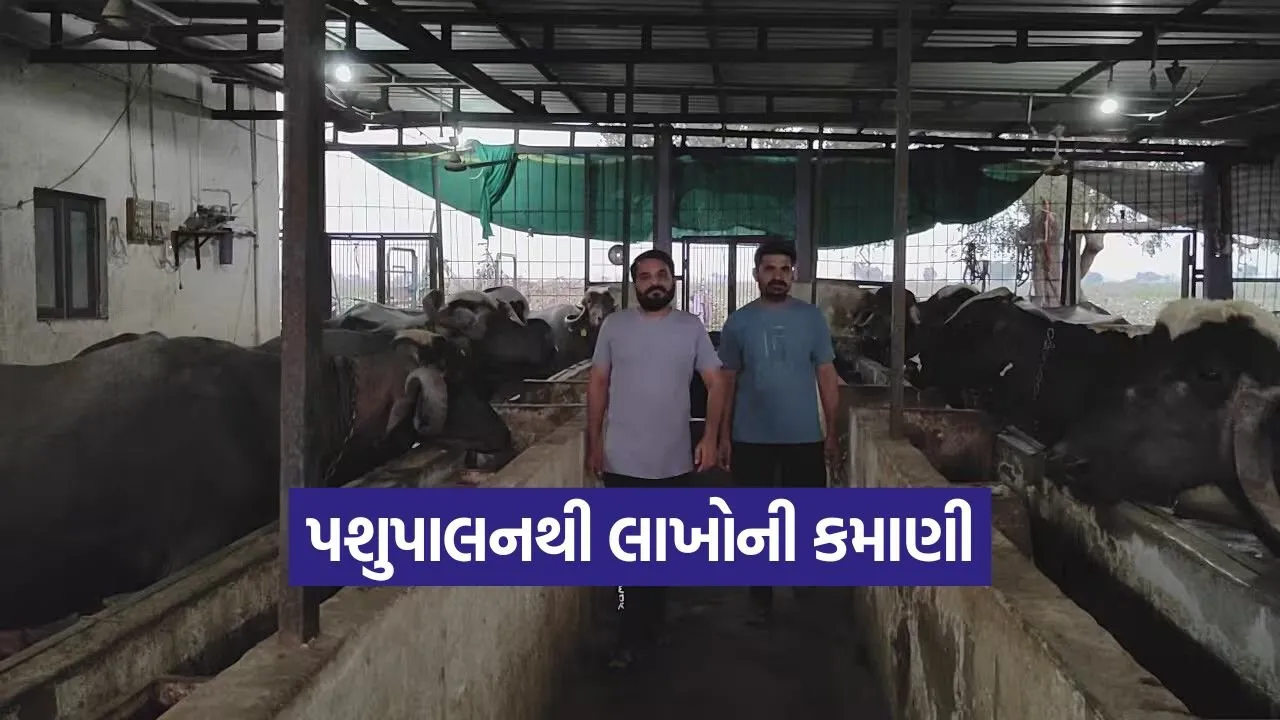 rahulbhai pada dairy success 1.jpg