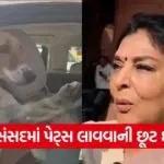 renuka3