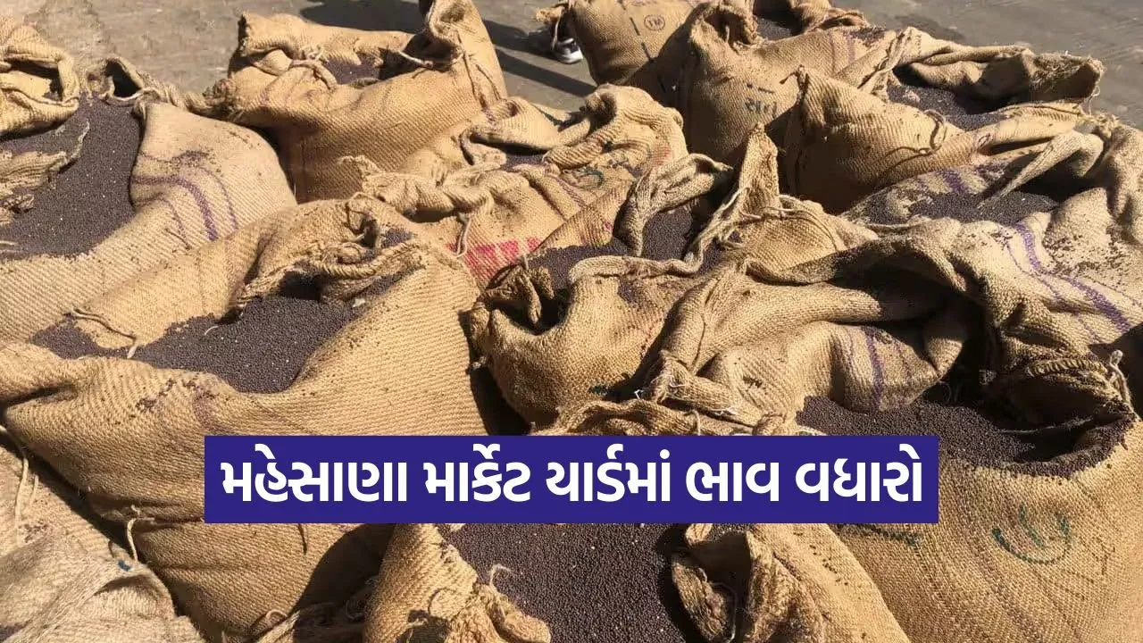 mehsana market yard today 1.jpg