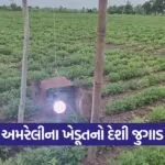 protect crops from wild animals 1