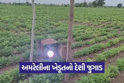 protect crops from wild animals 1