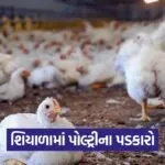 poultry winter temperature control 1