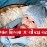 Baby Boy Name