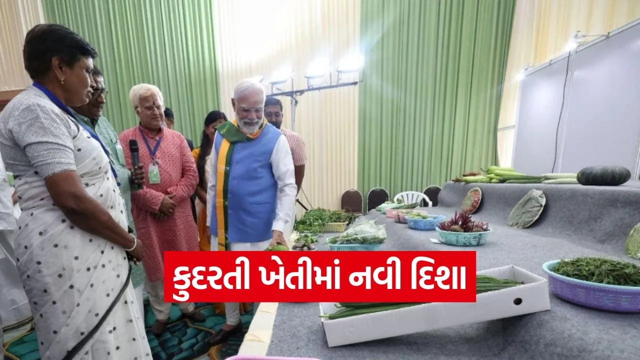 natural farming india 1.jpg