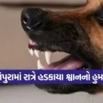 dahod fatepura dog attack 1