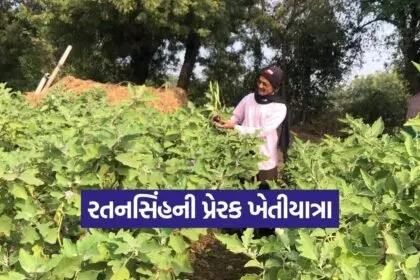natural farming mehsana Gujarat 1