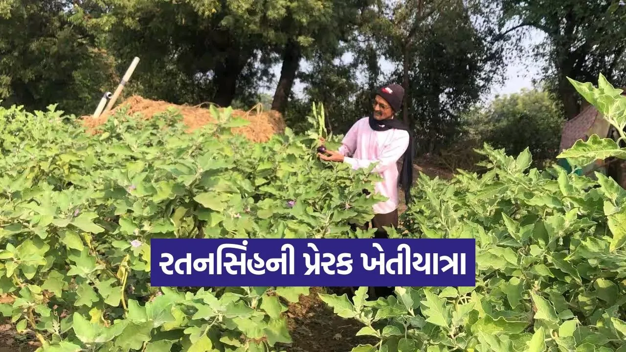 natural farming mehsana Gujarat 1.jpg