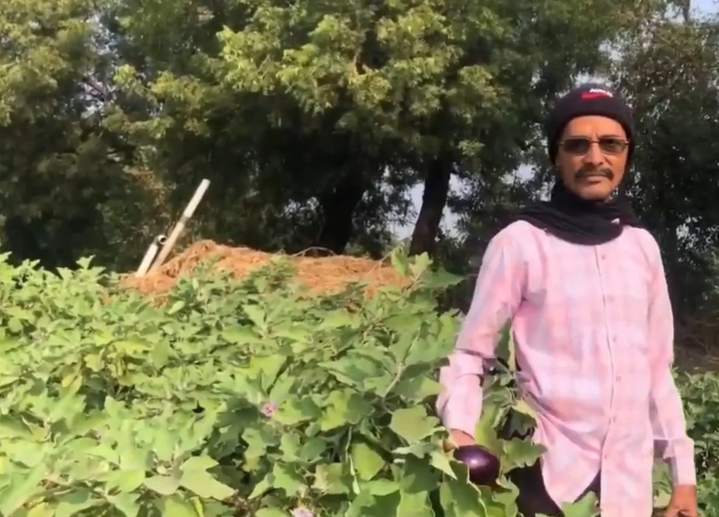 વિસનગરના રતનસિંહનો અનોખો પ્રયોગ: 10 વીઘામાં સંપૂર્ણ પ્રાકૃતિક ખેતીનું સફળ મોડેલ 2 natural farming mehsana Gujarat 2.jpeg