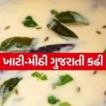 Gujarati khatti Meethi Kadhi