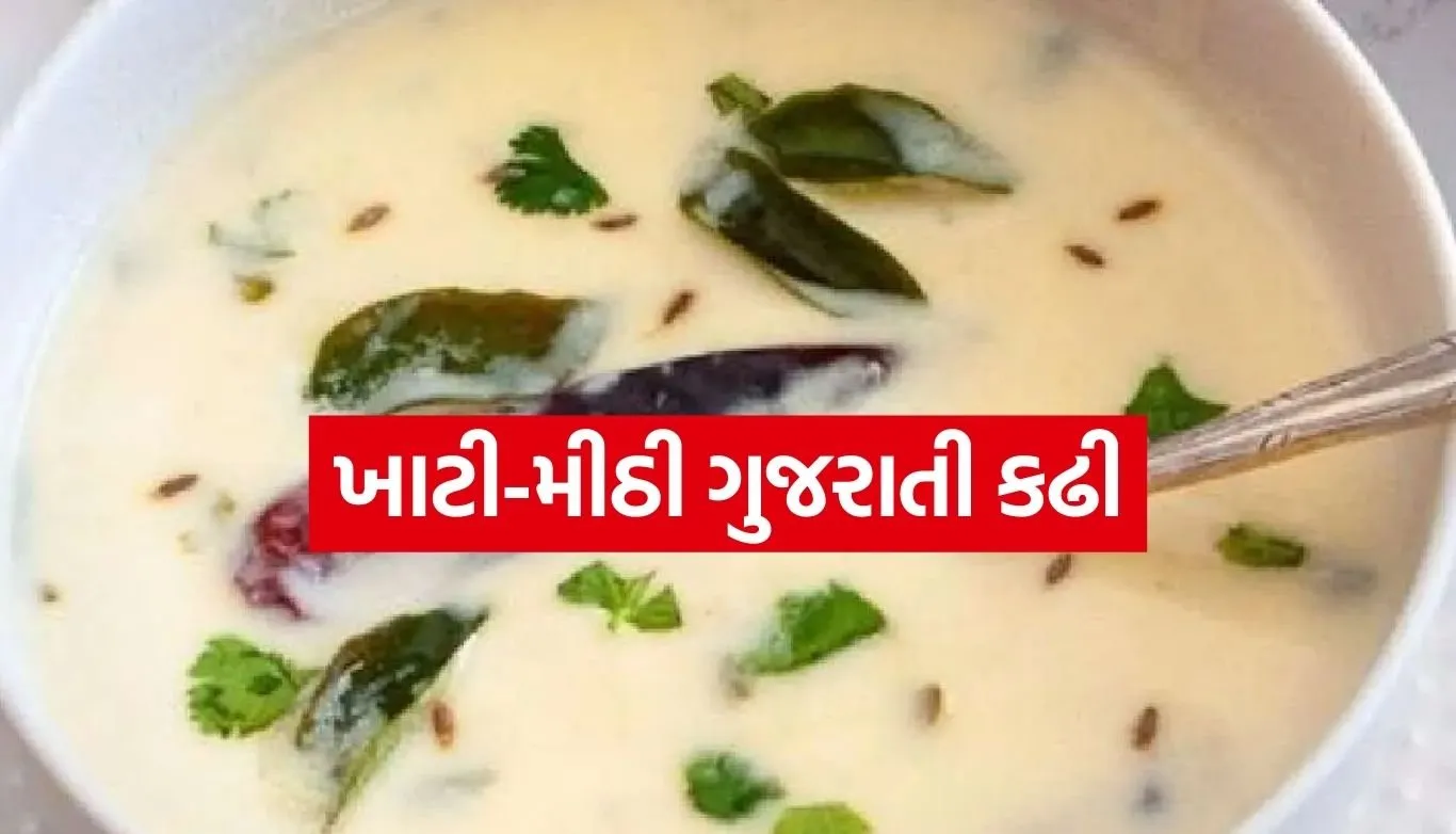 Gujarati khatti Meethi Kadhi