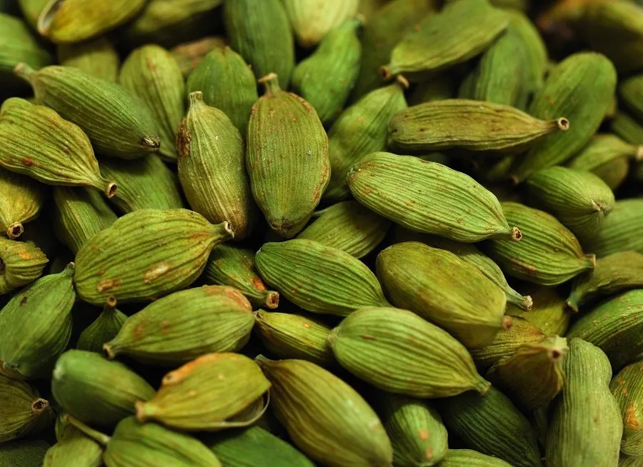 દરરોજ સવારે ખાલી પેટે પીવો એલચીનું પાણી 2 cardamom.jpg