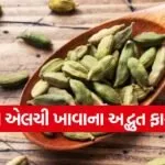 cardamom 1