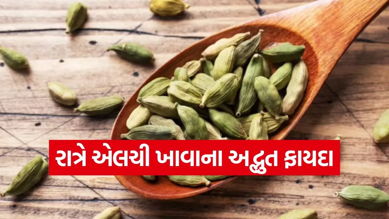 cardamom 1.jpg