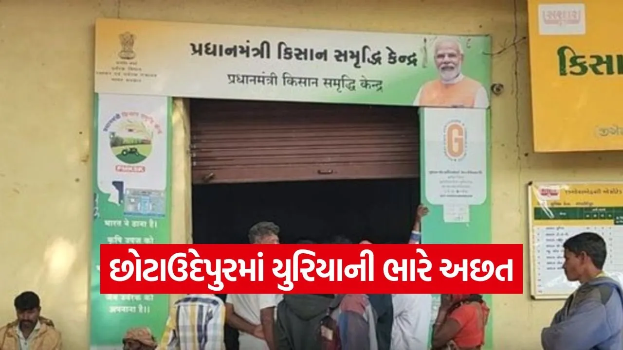 fertilizer shortage Chhota Udepur 1.jpg