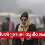 cold wave forecast Gujarat 1