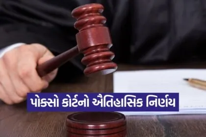 vapi pocso case 1