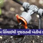 gujarat micro irrigation progress 1
