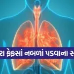 lungs