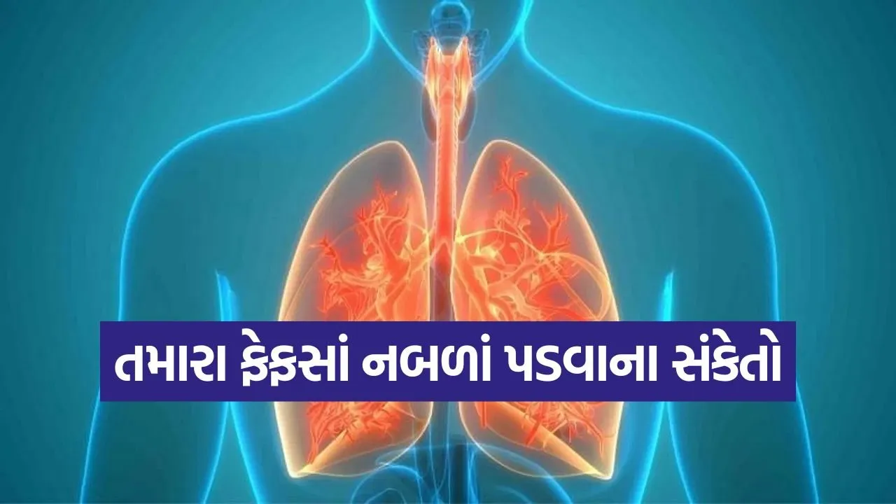 lungs.jpg