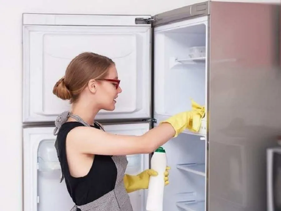 Fridge Care Tips