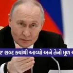 putin8