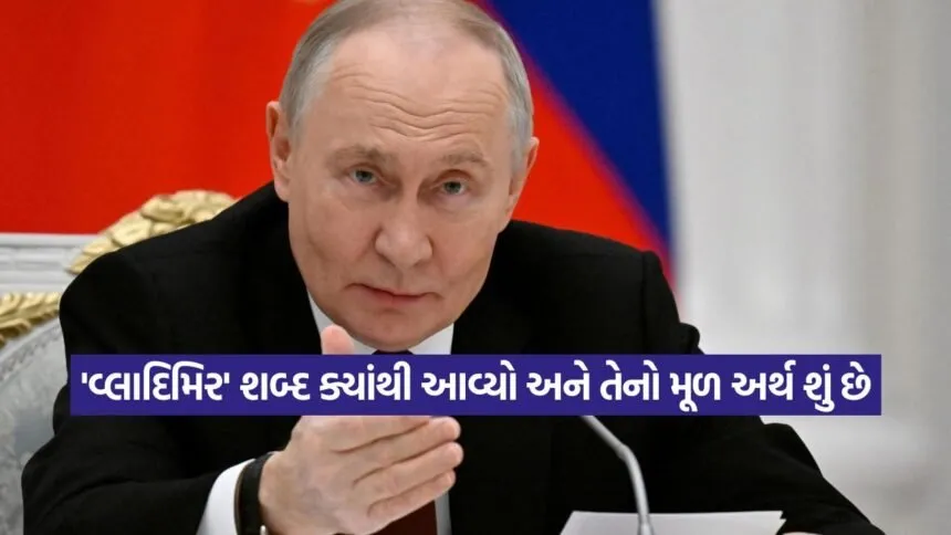 putin8
