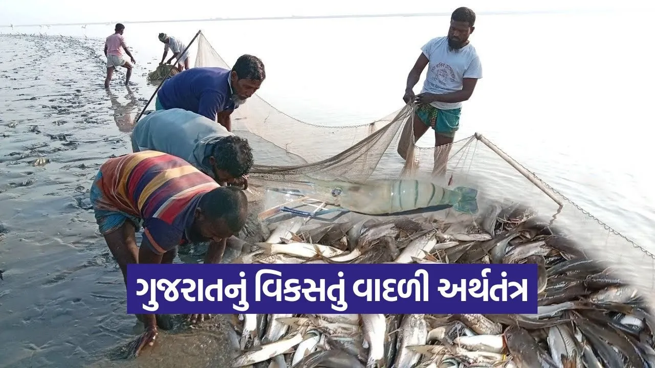 Gujarat marine economy growth 1.jpg