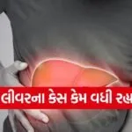 liver