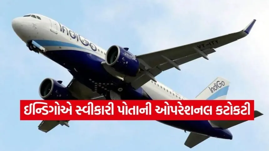 indigo6