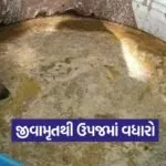 Jeevamrut farming method 1