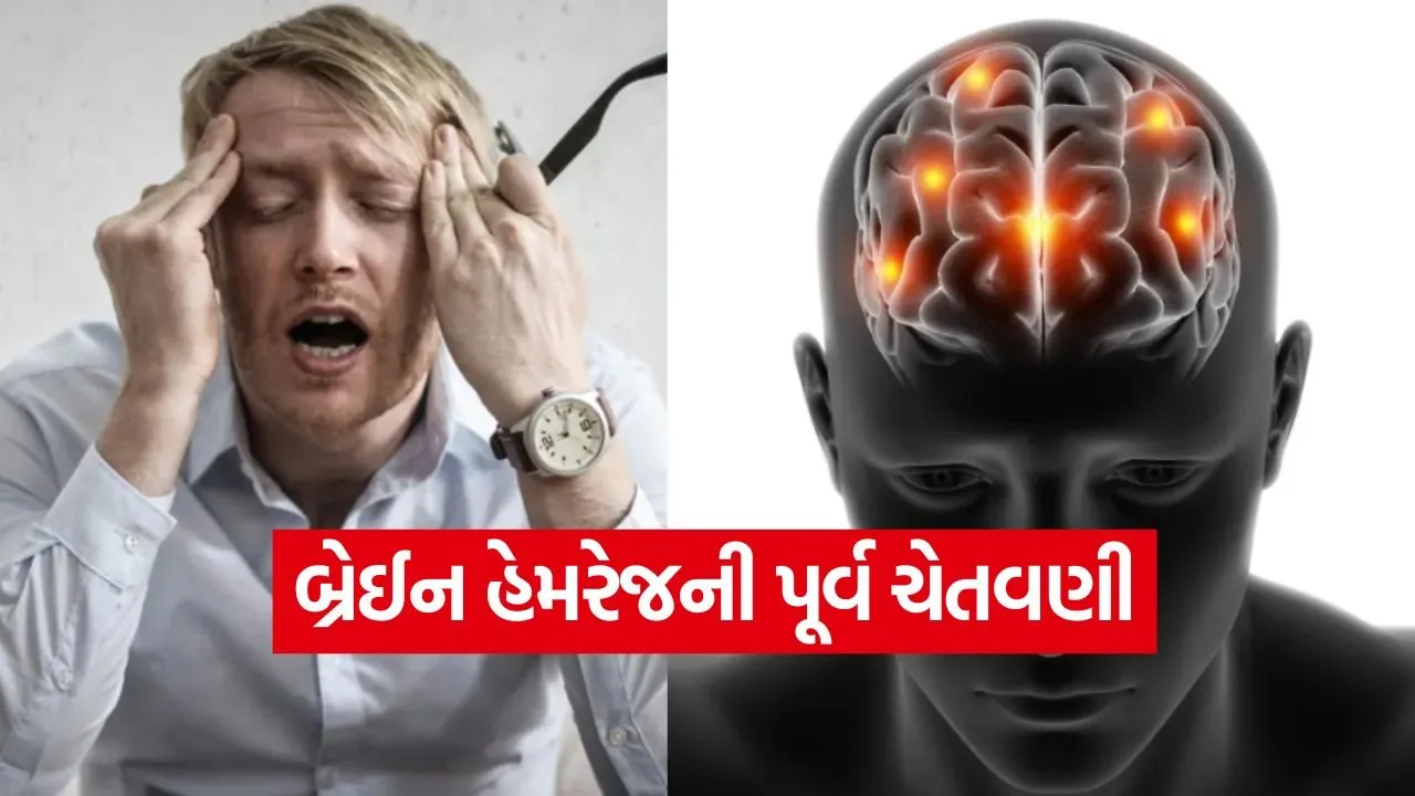 brain.jpg