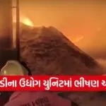 Massive Fire in Valsad 1