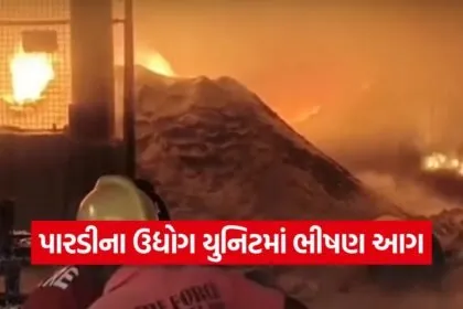 Massive Fire in Valsad 1