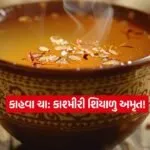Dharmishtha 16