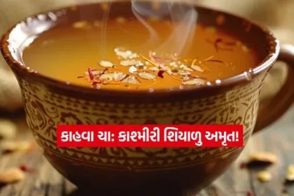 Dharmishtha 16